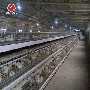 China A-type Q235 Steel Cage For Baby Chickens Featuring Hot-dip Galvanized Wire Mesh factory