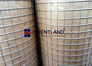 China Construction Wire Mesh Rolls , 1/2 Inch × 1/2inch Welded Metal Mesh Acid Resistance factory