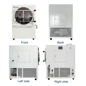 Lanphan Freeze Drying Equipment Commercial Freeze Dryer Machine for Okra