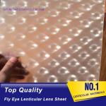 PLASTIC LENTICULAR clear fly-eye plastic sheet fly eye lens film material with