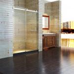 Dual Sliding Clear Tempered Glass Bathroom Shower Screen Door Cabinet