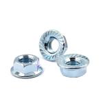 304 Stainless Steel Hexagon Spline Flange Nut DIN6923 Nylon Lock Building