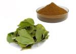CAS 489-32-7 Horny Goat Weed Epimedium Herbal Extract Powder
