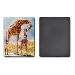 UV Offset Printing Lenticular 3D Fridge Magnets For Gift , Printed Fridge