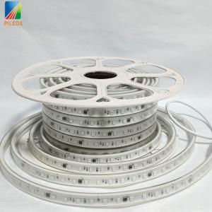 China Addressable Digital LED Strip Light Waterproof IP66 5050 RGB factory