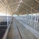 Lanjing Prefabricated Steel Structure Farm House , Modern Metal Livestock