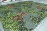 Leaf Military Camouflage Net Flame Retardant Bulk Roll White 8x20 10x20