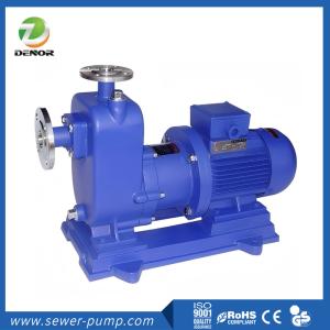 China Compact ZCQ Self Priming Magnetic Drive Pump Full Sealed Non Leakage factory