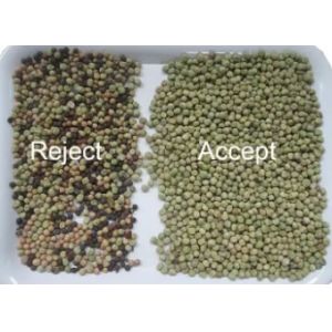 Corn Walnut Chickpea Peanut Olive Color Separator Roasted Nut Cardamom Color