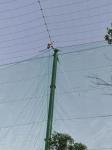 20mm x 20mm diamond mesh Bird Cage Bird Net Polyethylene UV treated