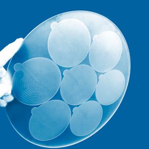 China 300mm Diameter Quartz Glass Sheet Slotted Round factory