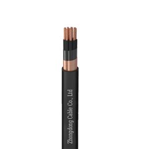 China 3-24 Cores Copper Tape Screen Control Cable PVC Insulated 450V 750V 600V 1000V factory