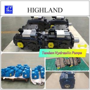 China Customizable Tandem Hydraulic Pumps With Swash Plate Structure Design factory