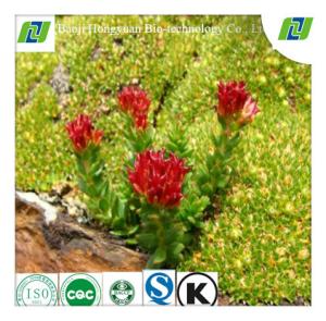 China Rhodiola P.E. Salidroside3% factory