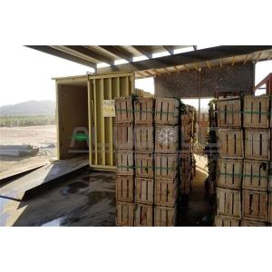 Broccoli Vegetable Vacuum Cooler Customized Processing Capacity 6 Pallets/Batch