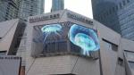 500mm*125mm LED Transparent Video Wall Indoor / Outdoor LED Strip Display
