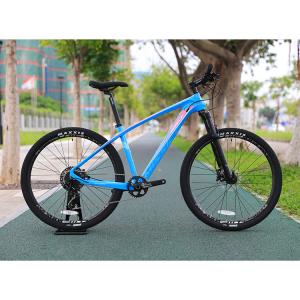 China 29 Inch MTB Carbon Fibre Mountain Bike With YBN S12S Chain And 160mm Brake Disc Pads factory