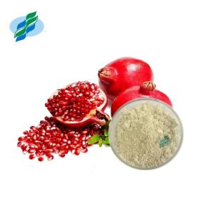 China Water Soluble Pomegranate Peel Extract Ellagic Acid Skin Whitening factory