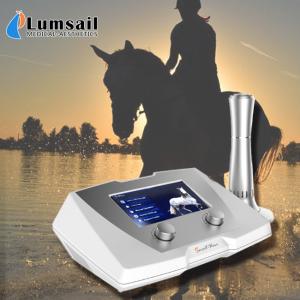 China Veterinary Medical Equine Shockwave Machine For Patellar Tendinopathy factory
