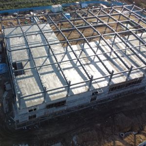 Prefab Steel Structure Warehouse with Large Span and Crane Support