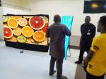 65536dots/m2 FCC P4.81mm Indoor Led Display Board