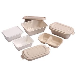 Disposable Takeaway Sugarcane Bagasse Box Disposable Food Containers With Lids