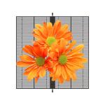 Shop Mall Advertising Indoor Transparent LED Screen Full Color Transparent LED