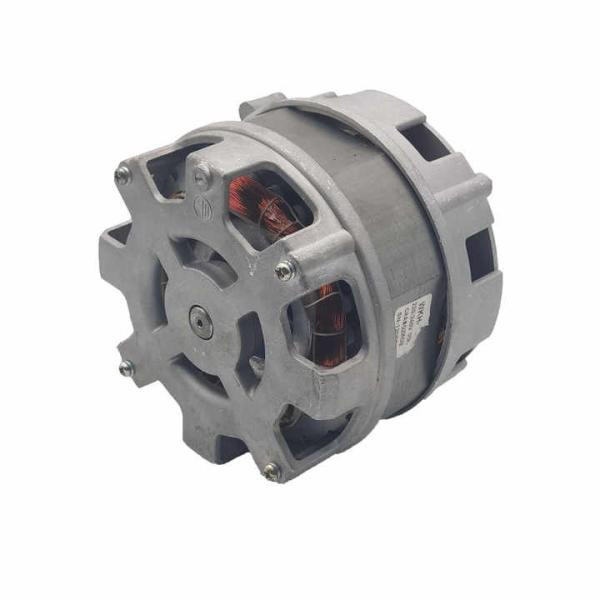 KG-1209250 110-240V 10-60RPM High Power 200-500W Electric Induction Motor For