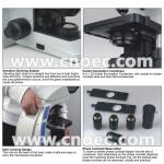 400X 1000X Compound Optical Microscope Kohler Illumination Microscopes A12.0907
