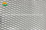Bwg18 1/4 Inch Hexagonal Wire Netting For Fence Or Bird Cage