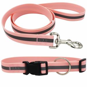 China Durable Waterproof Dog Collar And Leash , Reflective Pet Training Leash factory