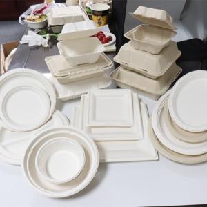 China Bagasse Sugarcane Food Container factory