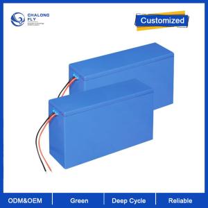 China Lifepo4 Lithium Ion Battery Pack OEM 18650 overcharge protection factory