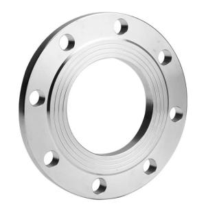 China Dn65 Forged Flange Bs10 Table D/E Blind Pipe Fitting factory