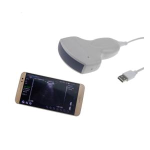 China 240mm Depth B/W Convex 3.5Mhz USB Ultrasound Probe factory
