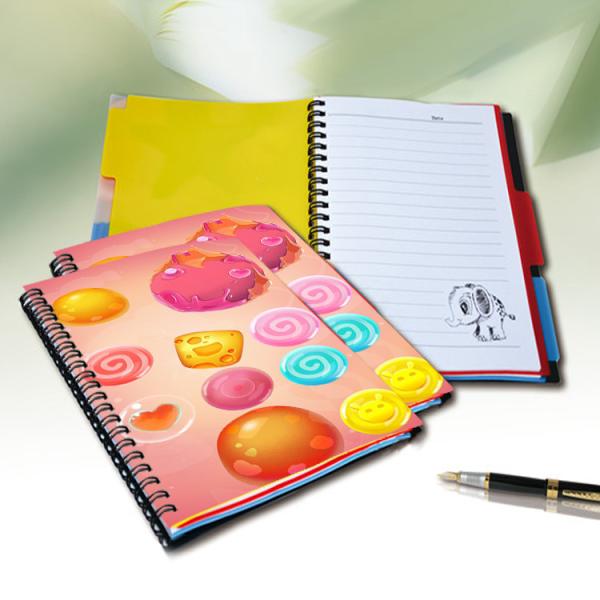 Custom 3D Lenticular Printing Card Lenticular Plastic Sheet Lenticular Printing