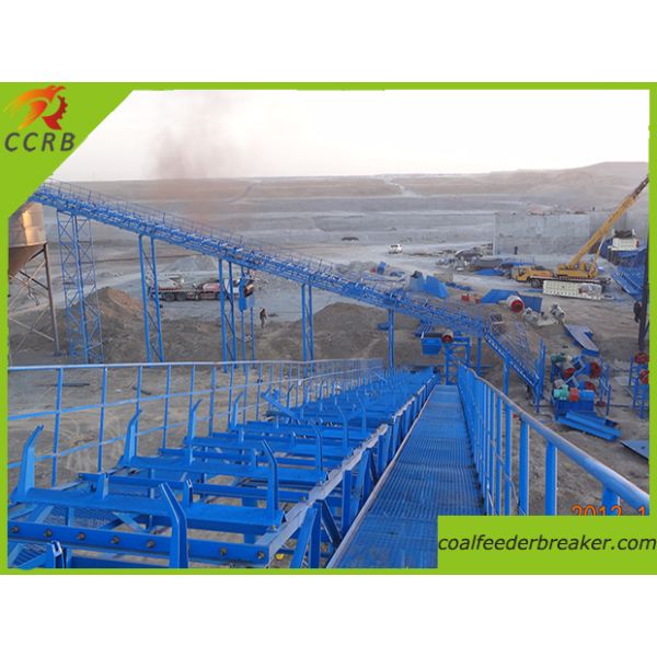 Basic Process_Coal Vibrating Screen