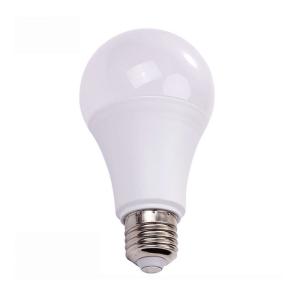China Plastic RoHS Certificate PF0.92 Cool White LED Bulbs factory