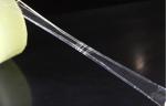 90mic Shipping Sealing Transparent Bopp Packing Adhesive Tape Tightly Wound