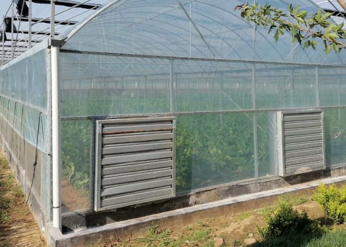 1380x1380mm Galvanized Steel Sheets Exhaust Fans Agriculture Small Greenhouse Cooling System