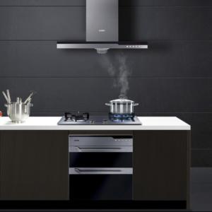 China Powder Spray Paint Home Appliance Coating Kitchen Ventilator Coating Solution factory