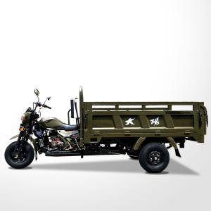China Customized Power Wheels 200CC/250CC/300CC 3 Wheels Motorcycle Tricycle with Green Body factory