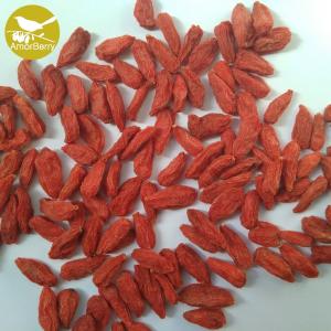 China EU standard High Quality Bulk Ningxia Chinese Organic Wolfberry/Goji berry/red medlar factory