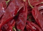 8000SHU Cherry Red Guajillo Chilis AD Drying Chile Guajillo Pods Stick Shape