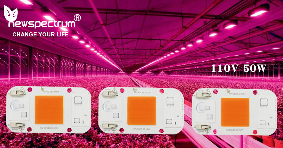 110V 220V AC LED Module COB Chip No Welding For Indoor Plant Seedling Grow