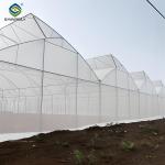 Indoor Multi Span Plastic Film Gothic Arch Greenhouse With PC Sheet