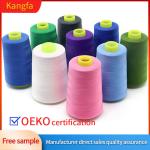 Polyester Sewing Thread Tkt120 Directly Item 100% Spun 40/2 3000yds for Pillow