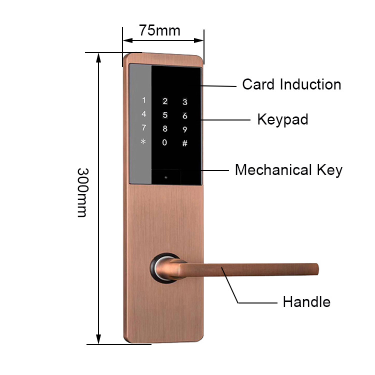 High Security 300mm Keyless Door Lock 300mm Ic Card Door Lock