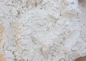 China Peanut Protein Powder / Meal, 50% min. factory