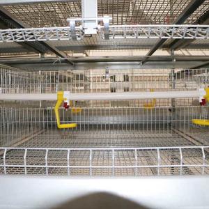 China Automatic Broiler Battery Cage System For Animal Poultry Husbandry Livestock factory